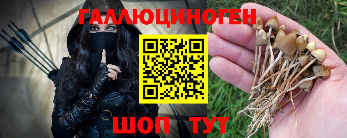 Псилоцибиновые грибы мицелий  Вход с VPN  где купить наркоту  Балтийск  Галлюциногенные грибы Magic Shrooms 