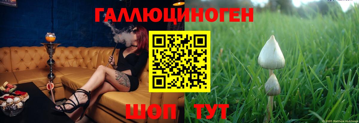 Галлюциногенные грибы мухоморы Балтийск